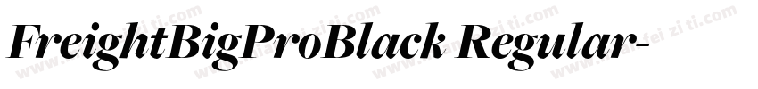FreightBigProBlack Regular字体转换